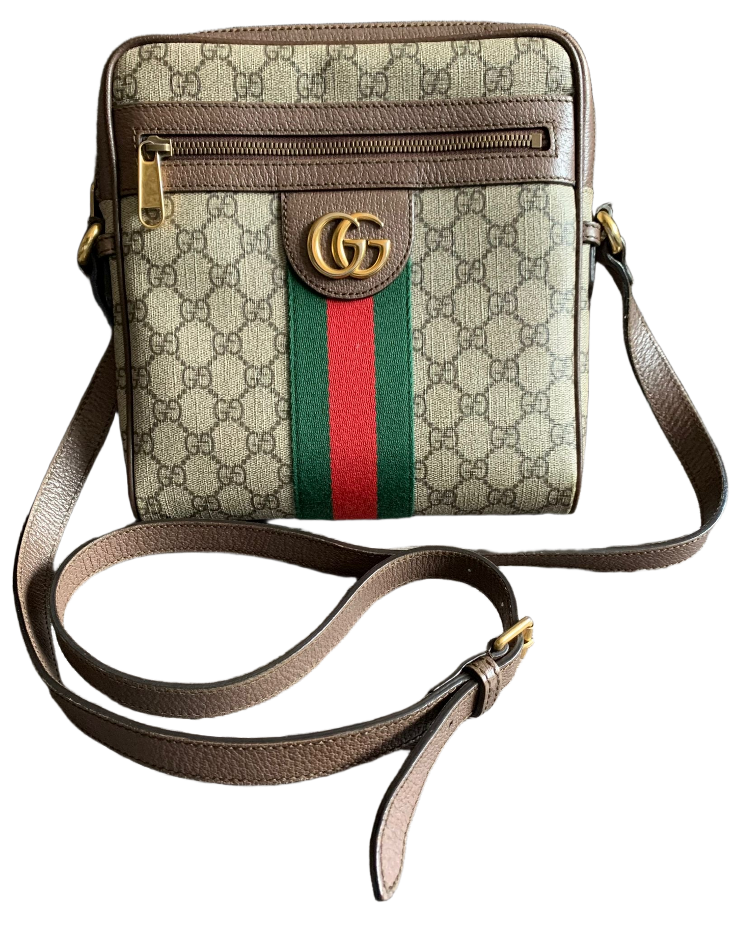 Processed image for Gucci ophidia