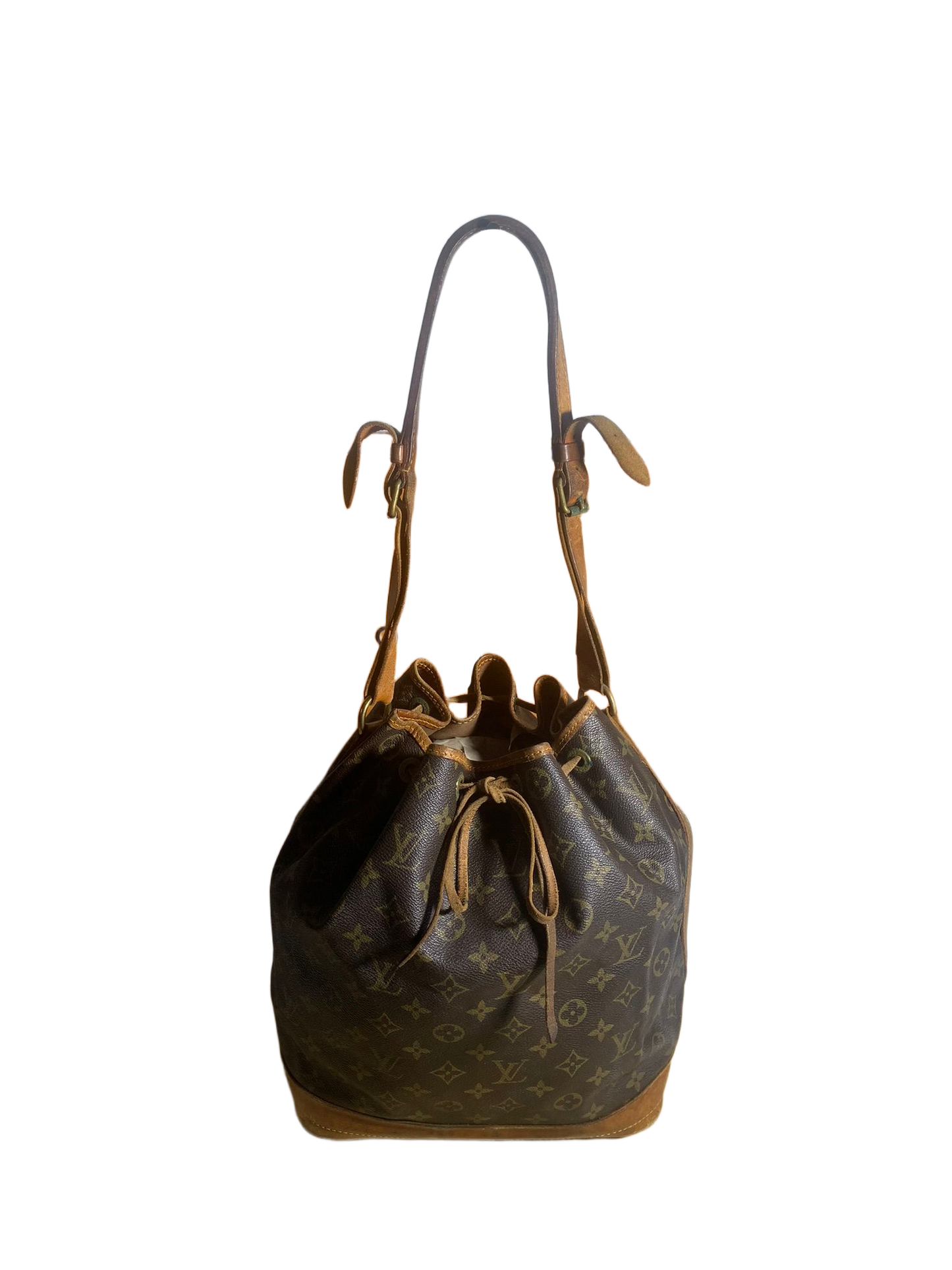 Lv noè GM